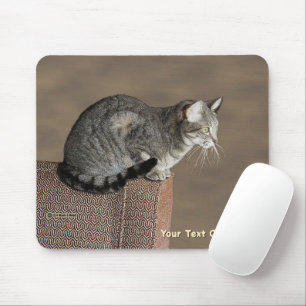 Smoky Gray Tabby Cat Mousepad