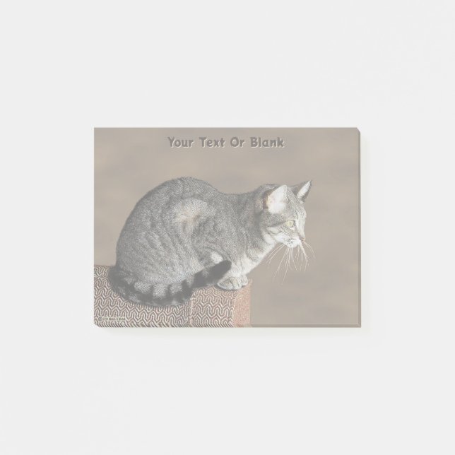 Smoky Gray Tabby Cat Post-it Klebezettel (Vorderseite)