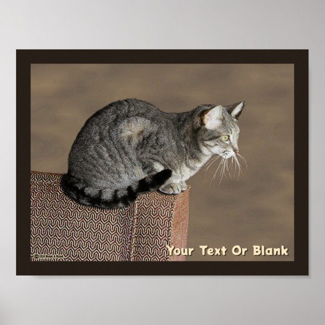 Smoky Gray Tabby Cat Poster (Vorne)