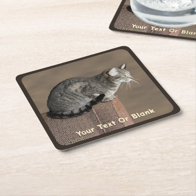 Smoky Gray Tabby Cat Rechteckiger Pappuntersetzer (angewinkelt)