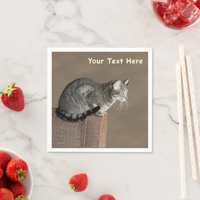 Smoky Gray Tabby Cat Serviette (Beispiel)