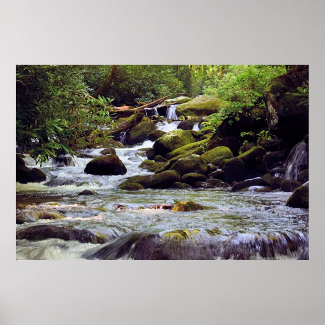 Smoky Mounstream - GSMNP Poster (Vorne)