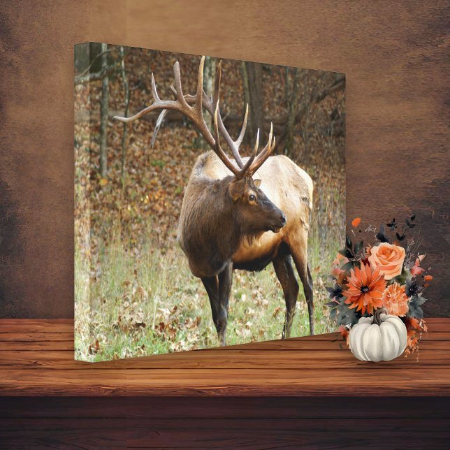 Smoky Mountain Elk Leinwand (Von Creator hochgeladen)