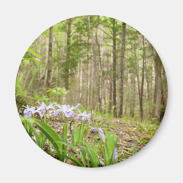 Smoky Mountain Trail im Frühling Magnet (Vorne)