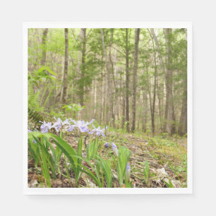 Smoky Mountain Trail im Frühling Serviette