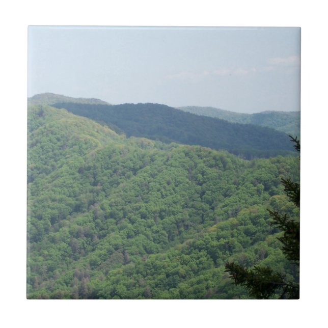 Smoky Mountains Trivet Tile 1 Fliese (Vorderseite)