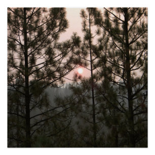 Smoky Sonnenaufgang vom Carr Fire 2018... Poster