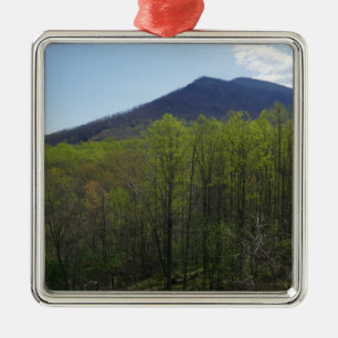 Smokygebirge in der Frühjahrslandschaft Ornament Aus Metall