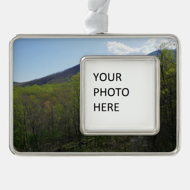 Smokygebirge in der Frühjahrslandschaft Rahmen-Ornament Silber (Vorderseite)