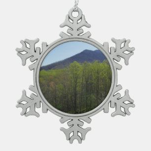 Smokygebirge in der Frühjahrslandschaft Schneeflocken Zinn-Ornament
