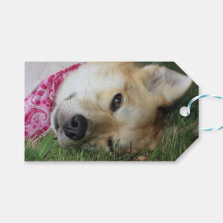 Smoochie Geschenkanhänger