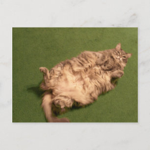 Smoochie Girl's Daily Kitty Yoga Postkarte