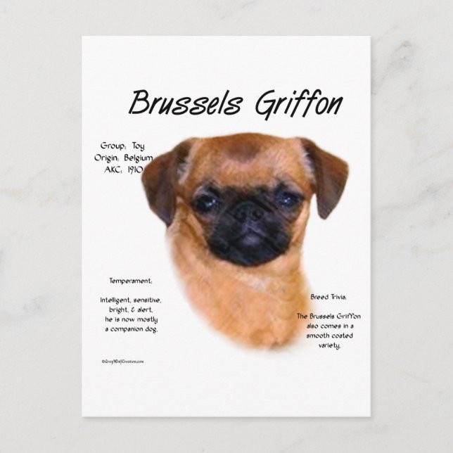 Smooth Brussels Griffon History Postkarte (Vorderseite)