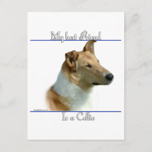 Smooth Collie Best Friend 2 Postkarte