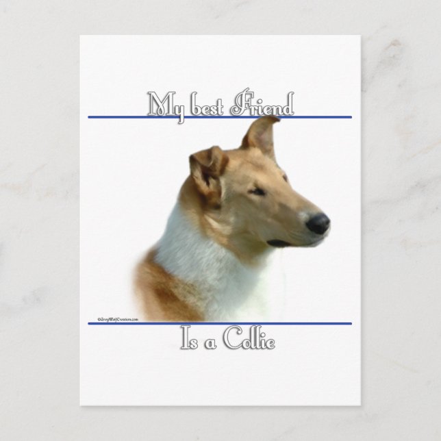 Smooth Collie Best Friend 2 Postkarte (Vorderseite)