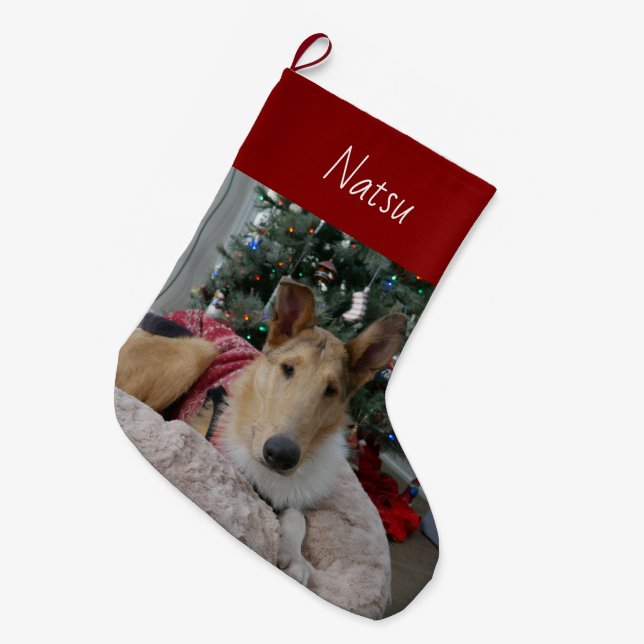 Smooth Collie Christmas Strumpf Großer Weihnachtsstrumpf (Vorderansicht (hängend))