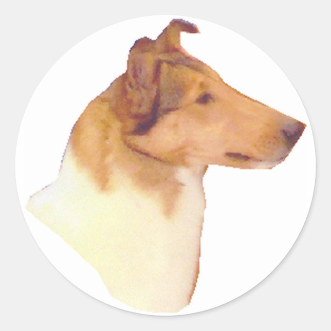 Smooth Collie Geschenke Runder Aufkleber (Vorderseite)