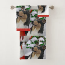 Smooth Collie Tri Color Christmas