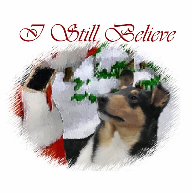 Smooth Collie Weihnachtsgeschenke Ornament Fotoskulptur Ornament (Vorne)
