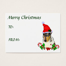 Smooth Collie Weihnachtspenden