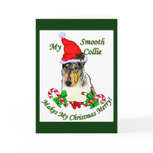 Smooth Collie Weihnachtspenden