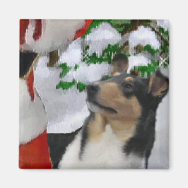 Smooth Collie Weihnachtspenden Magnet