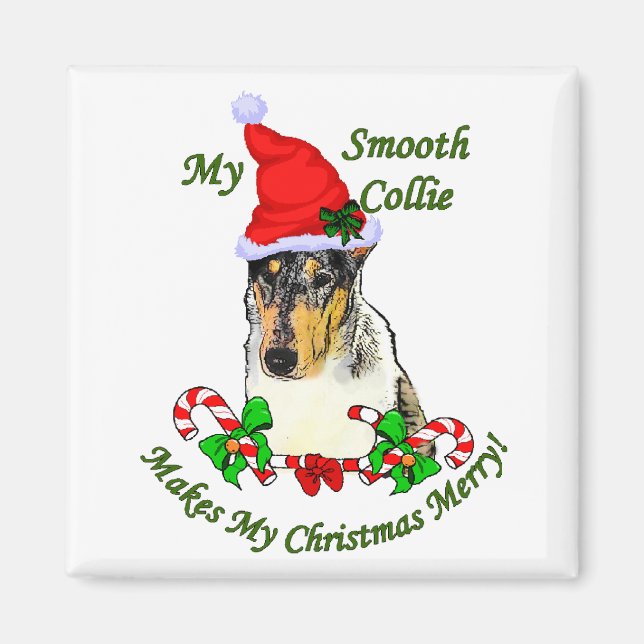 Smooth Collie Weihnachtspenden Magnet (Vorne)