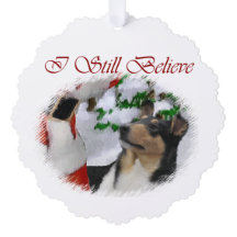 Smooth Collie Weihnachtspenden