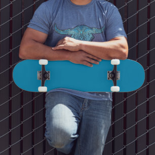 Smooth Ride Holbrook Blau Skateboard
