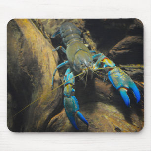 Smooth Yabby Mousepad