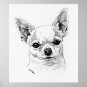 Smoothcoat Chihuahua Champion Poster