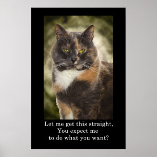 Smug Kitty - Was Will du? Poster