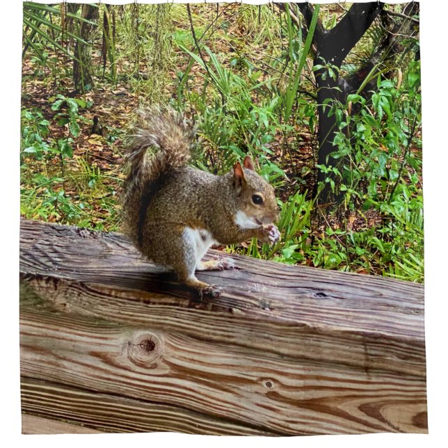 Snack-Attack, ein Eichhörnchen, das sein Leben gen Duschvorhang (Vorderseite)