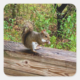 Snack Attack Quadratischer Aufkleber