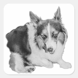 Snack Patrol Quadratischer Aufkleber