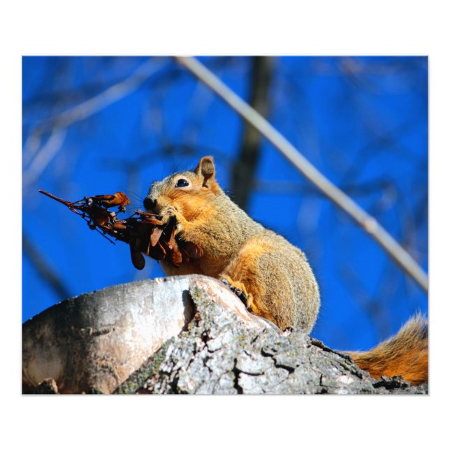 Snack-Zeit Fotodruck (Vorne)