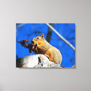 Snack-Zeit Leinwanddruck