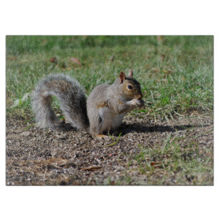 Snacking Eichhörnchen Schneidebrett