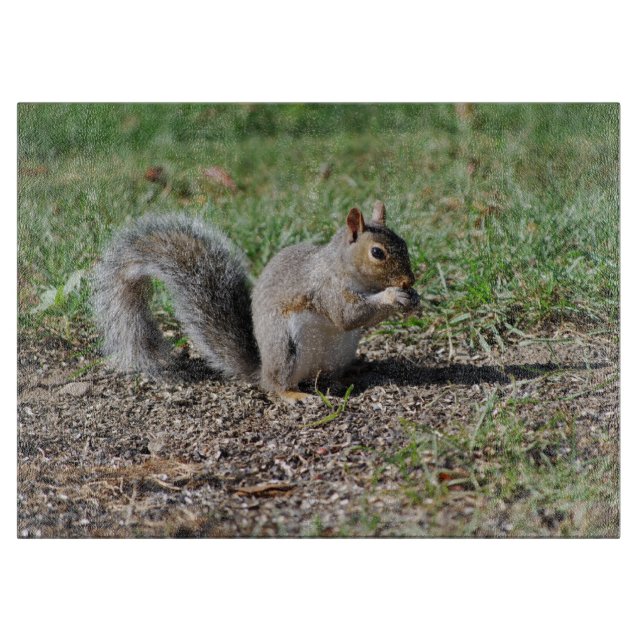 Snacking Eichhörnchen Schneidebrett (Vorderseite)