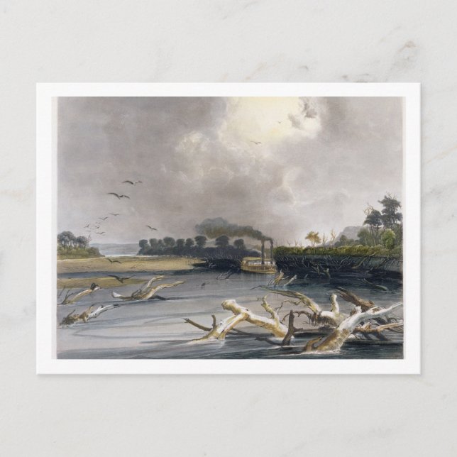 Snacks (versunkene Bäume) auf dem Missouri, Platte Postkarte (Vorderseite)