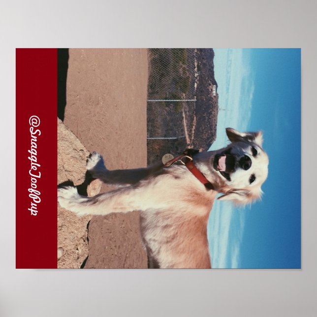 @SnaggleToofPup Poster (Vorne)