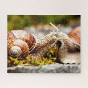 Snail Couple, Jigsaw Puzzle