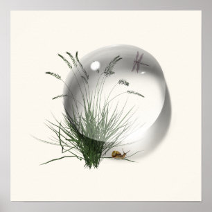 Snail Dragonfly Waterdrop Abstrakt Poster