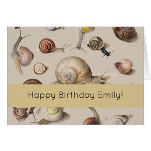 Snail Garden Haustier Gastropod Seven Lug Botanisc