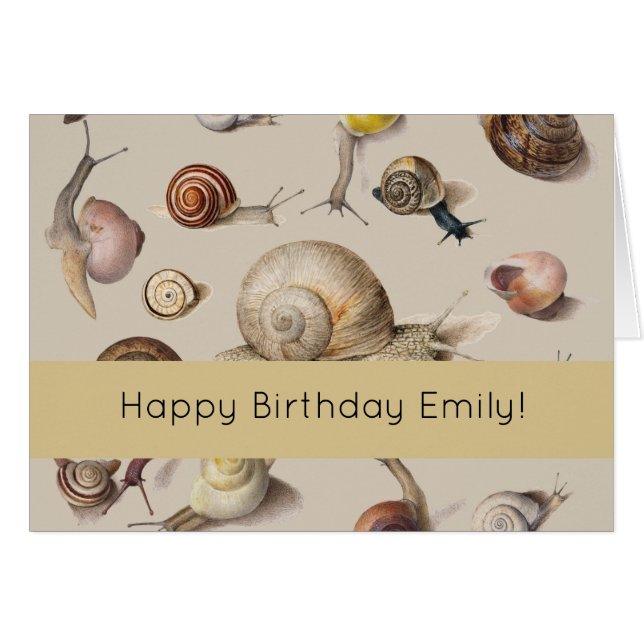 Snail Garden Haustier Gastropod Seven Lug Botanisc (Vorderseite (Horizontal))