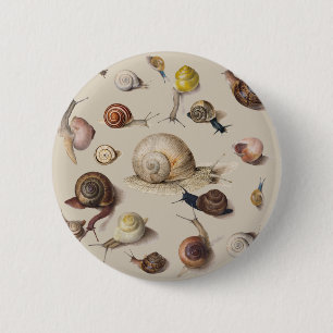 Snail Garden Haustier Gastropod Seven Lug Botanisc Button