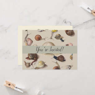 Snail Garden Haustier Gastropod Seven Lug Botanisc Einladung