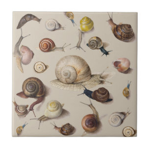 Snail Garden Haustier Gastropod Seven Lug Botanisc Fliese