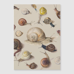 Snail Garden Haustier Gastropod Seven Lug Botanisc Magnetkarte