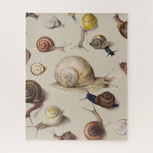 Snail Garden Haustier Gastropod Seven Lug Botanisc Puzzle